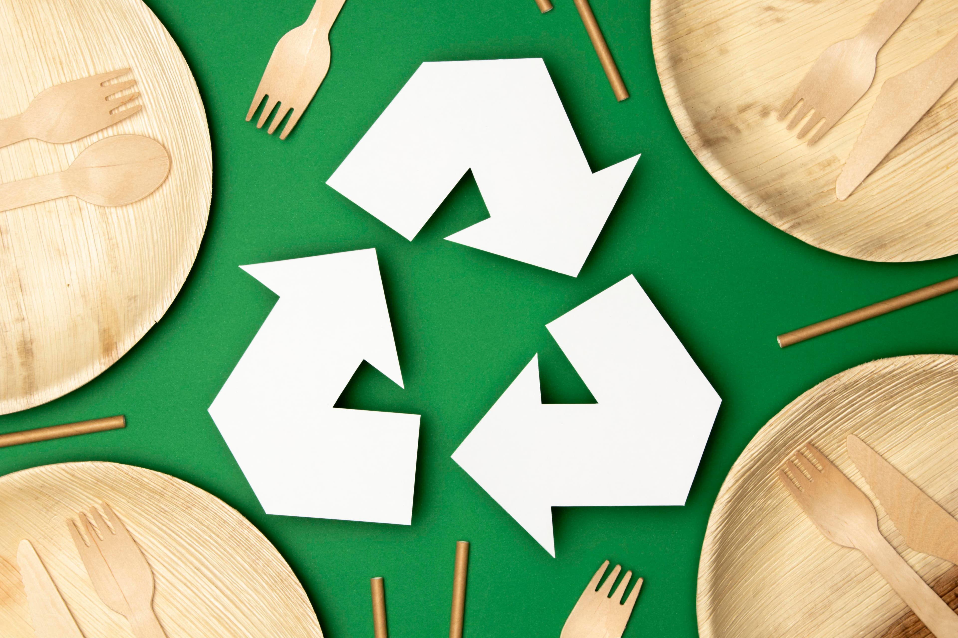 Bagasse manufacturing walkthrough